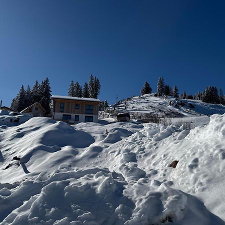Berglisl - Direkt An Der Schipiste! Neue Ferienwohnung Mit Sauna Klippitztorl Exterior photo